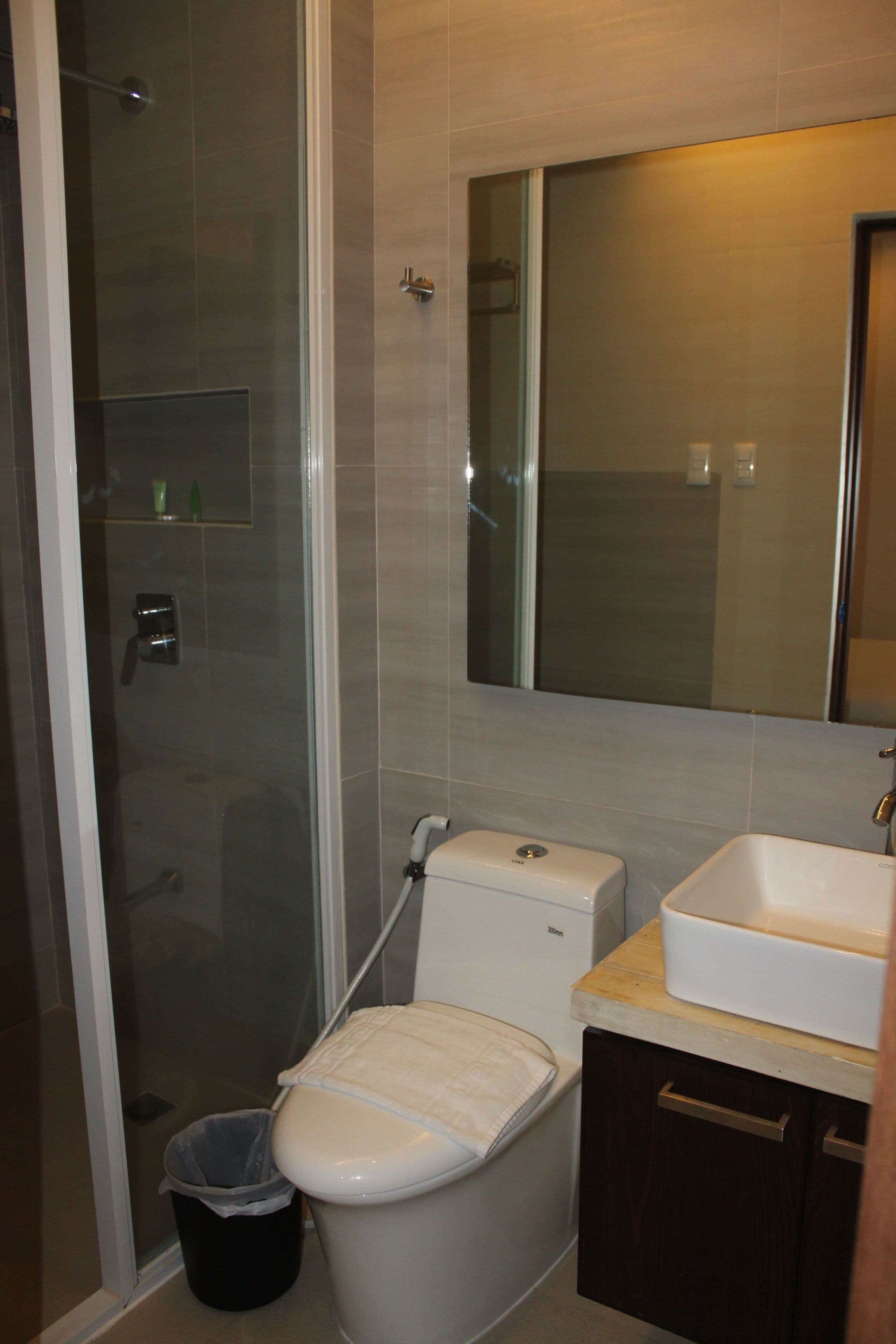 A bathroom with a glass-enclosed shower, a toilet, a sink, and a mirror.