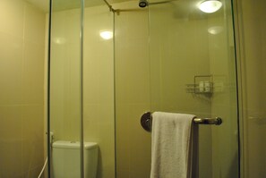 Duplex Room | Bathroom | Shower, free toiletries, towels
