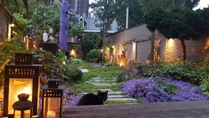 Un jardin avec un chemin de pierres, des fleurs violettes et un chat.