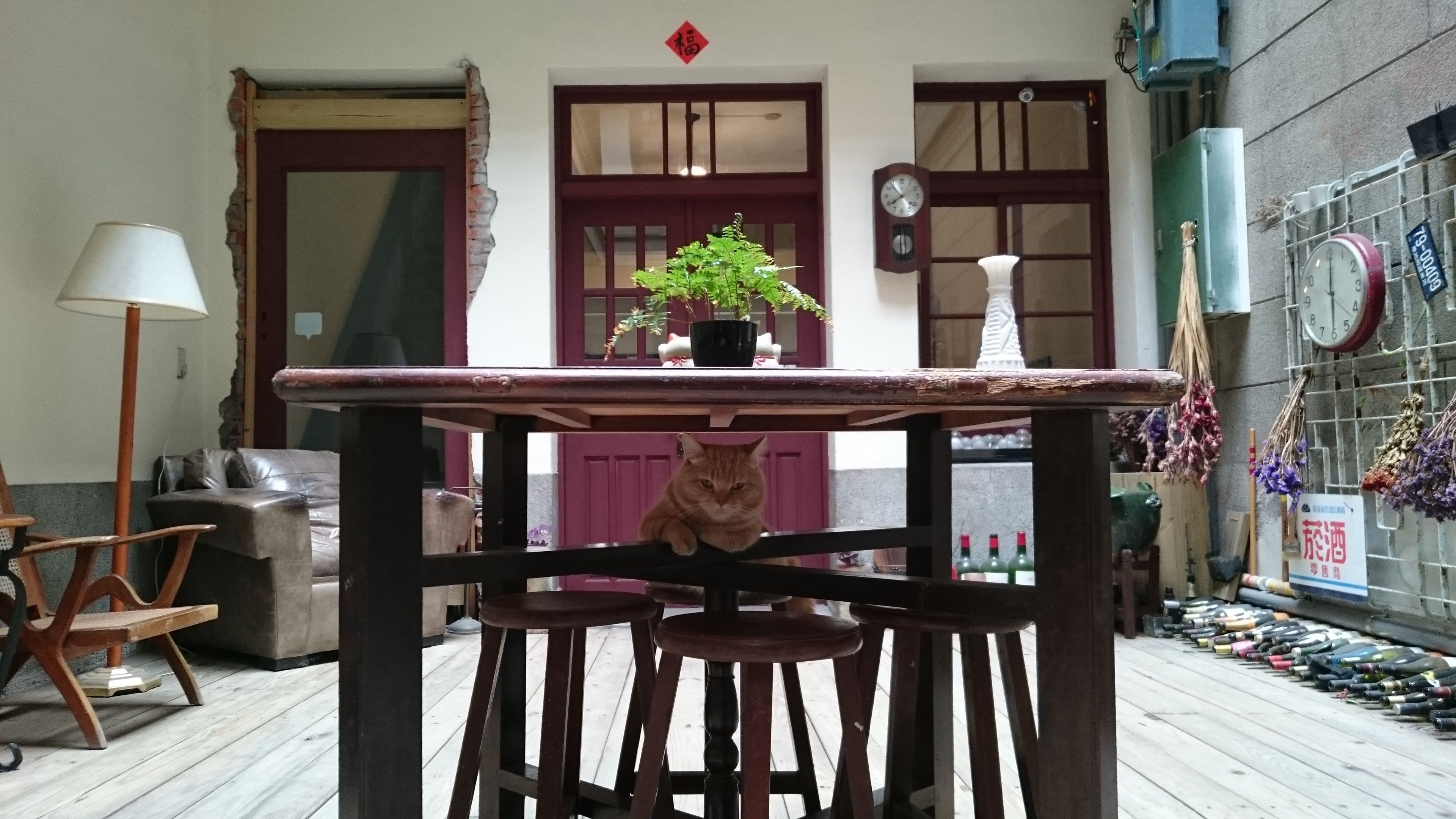 Une table en bois sur laquelle sont posés un pot de fleurs, une horloge et un chat.