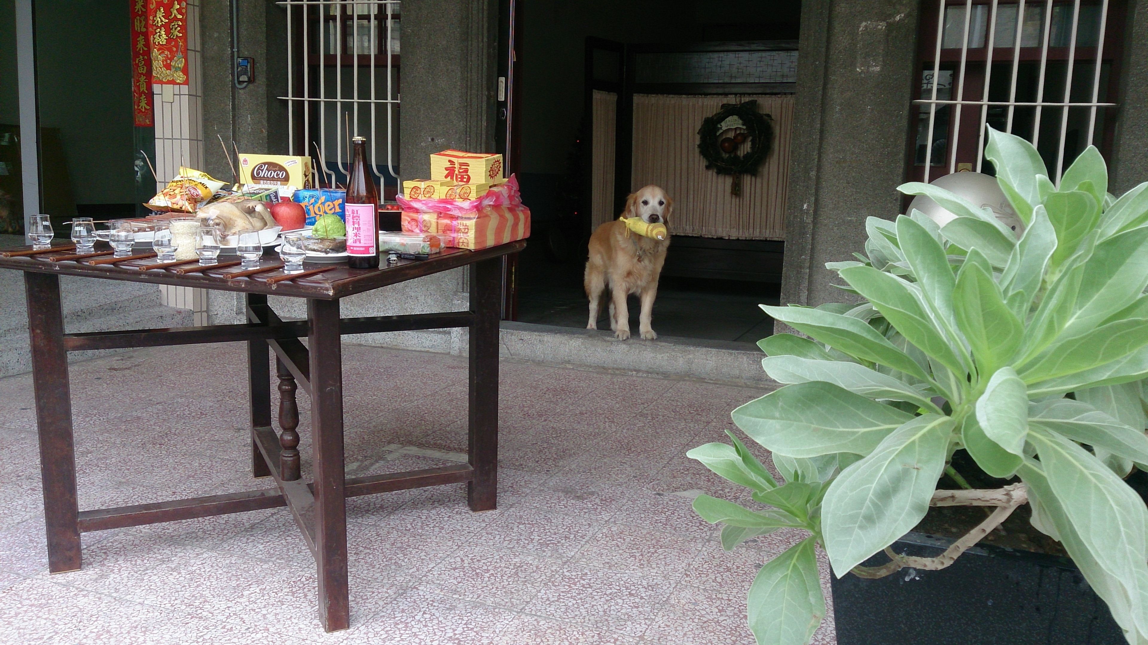Une table sur laquelle se trouvent divers aliments, et un chien qui se tient près d’une porte.
