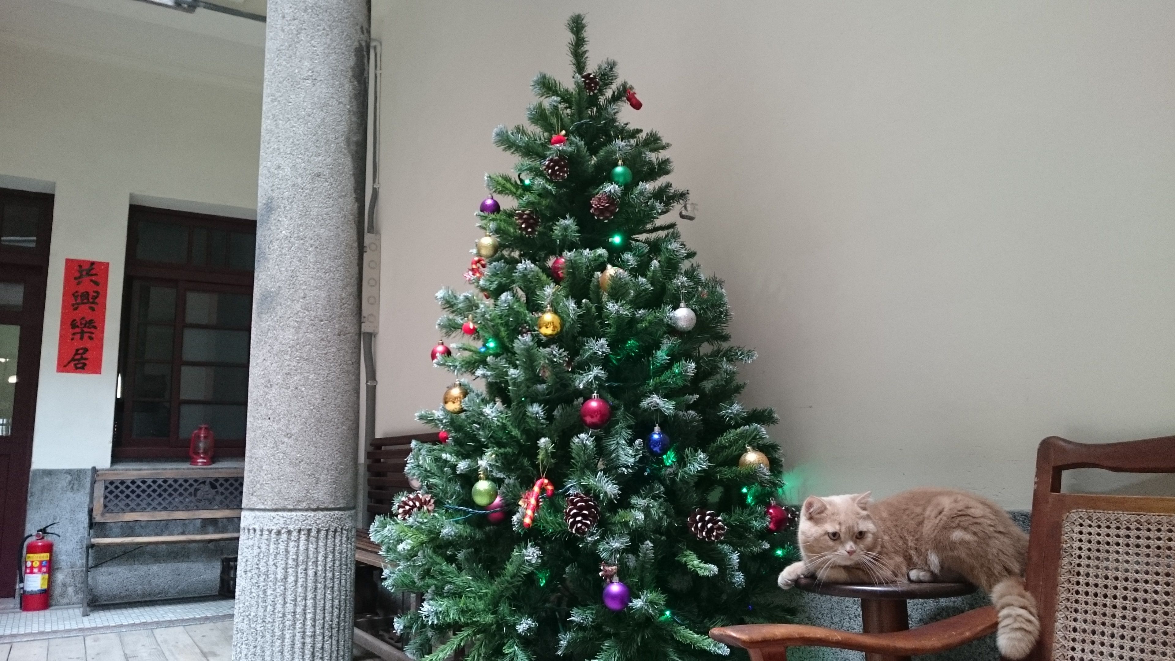 A Christmas tree decorated with various ornaments and lights, a fire extinguisher, and a wooden chair.