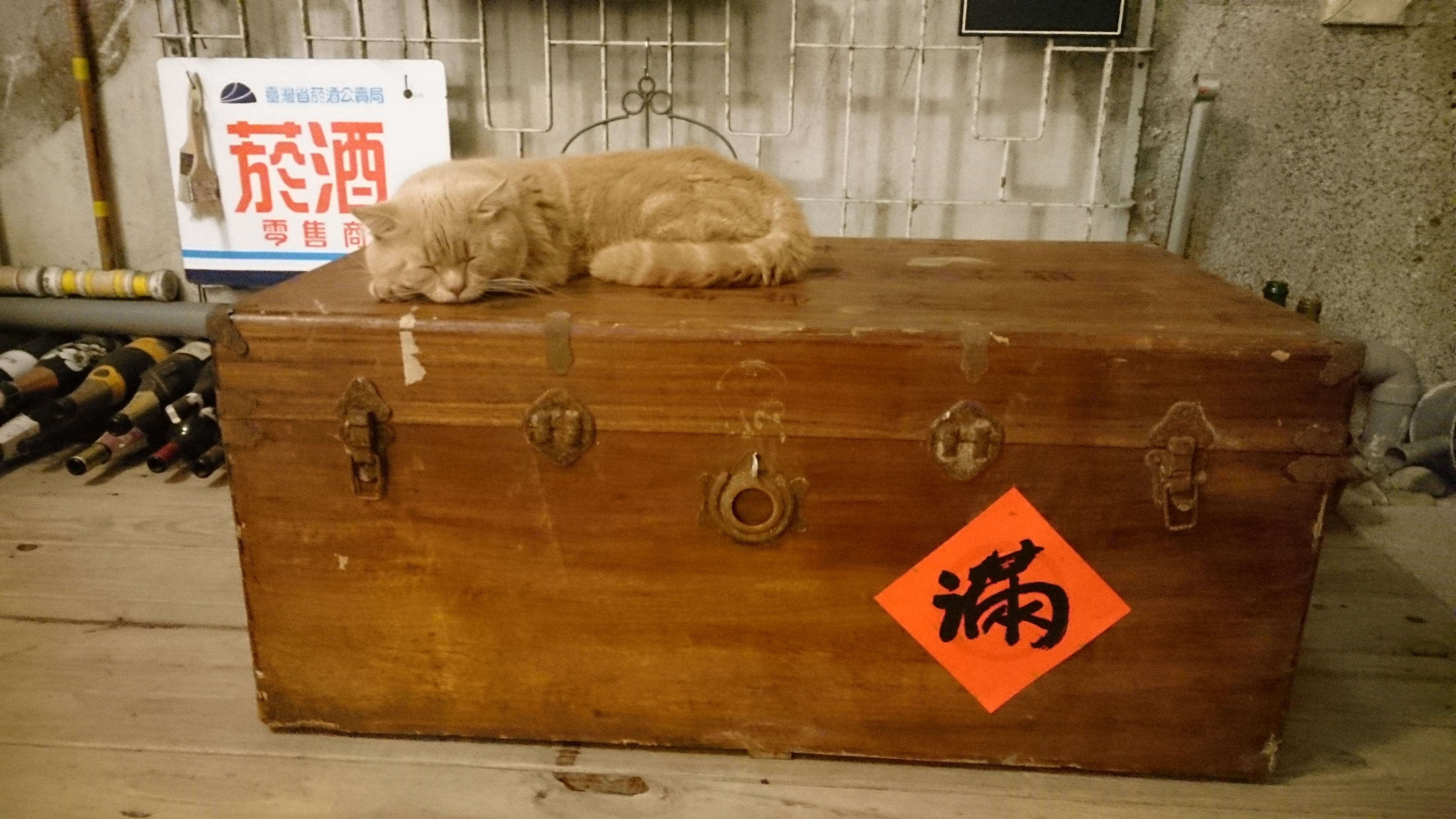 走廊