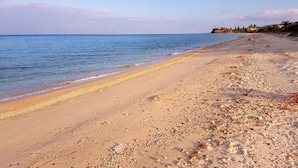 A beach with pebbles and shells, a clear sky, and a calm sea. - Roditsa Patritsia Apartments (Kassandra)