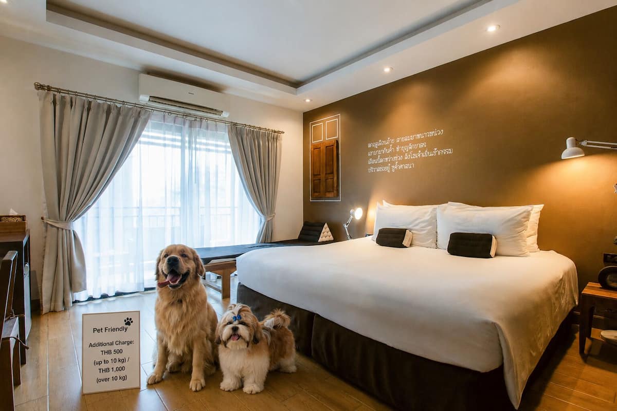 Deluxe Double Room (Pet Friendly) | Ylelliset vuodevaatteet, pillowtop-patjalliset sängyt