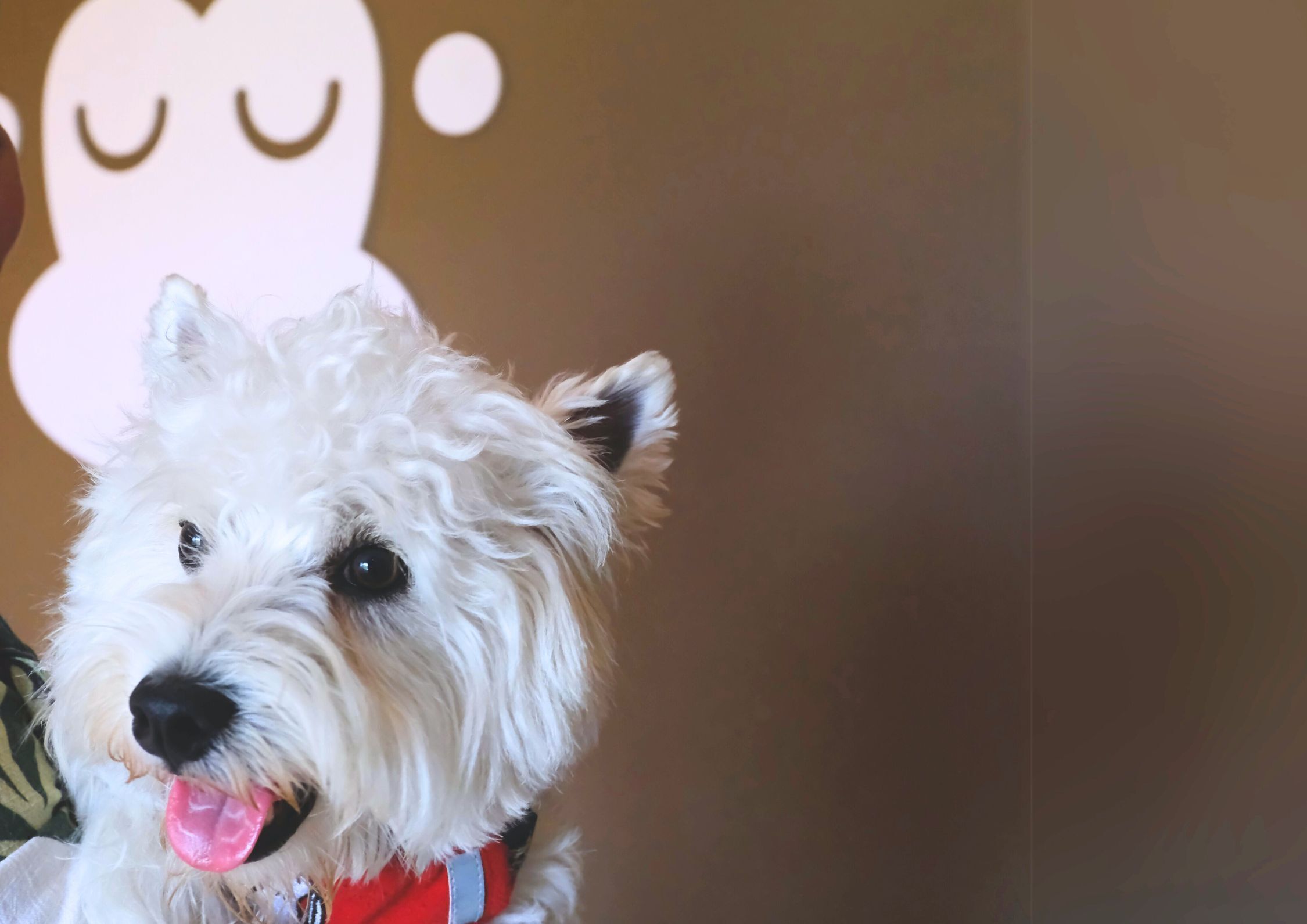 premium bedding, pillow-top beds, in-room safe, desk