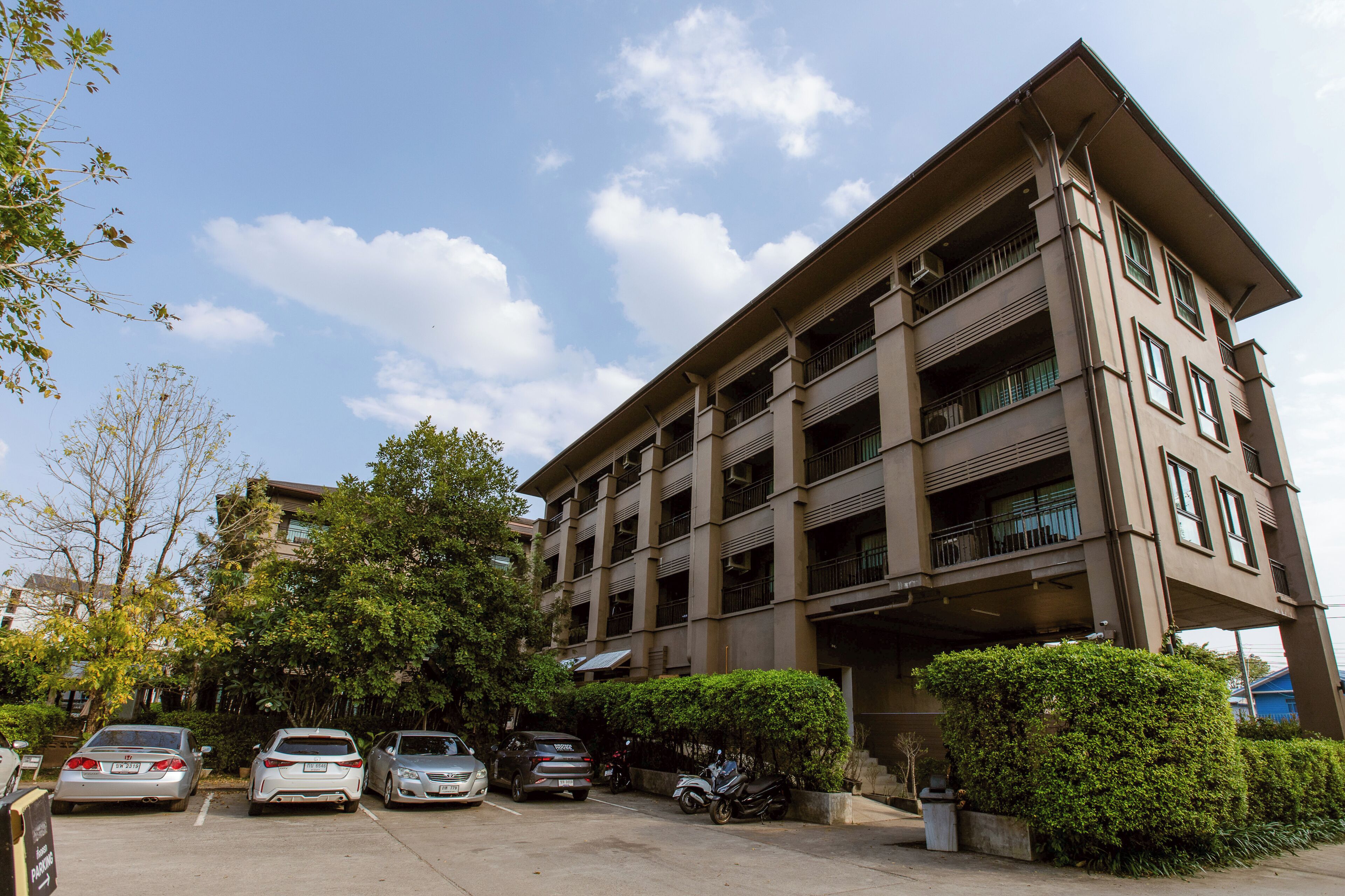 Park view