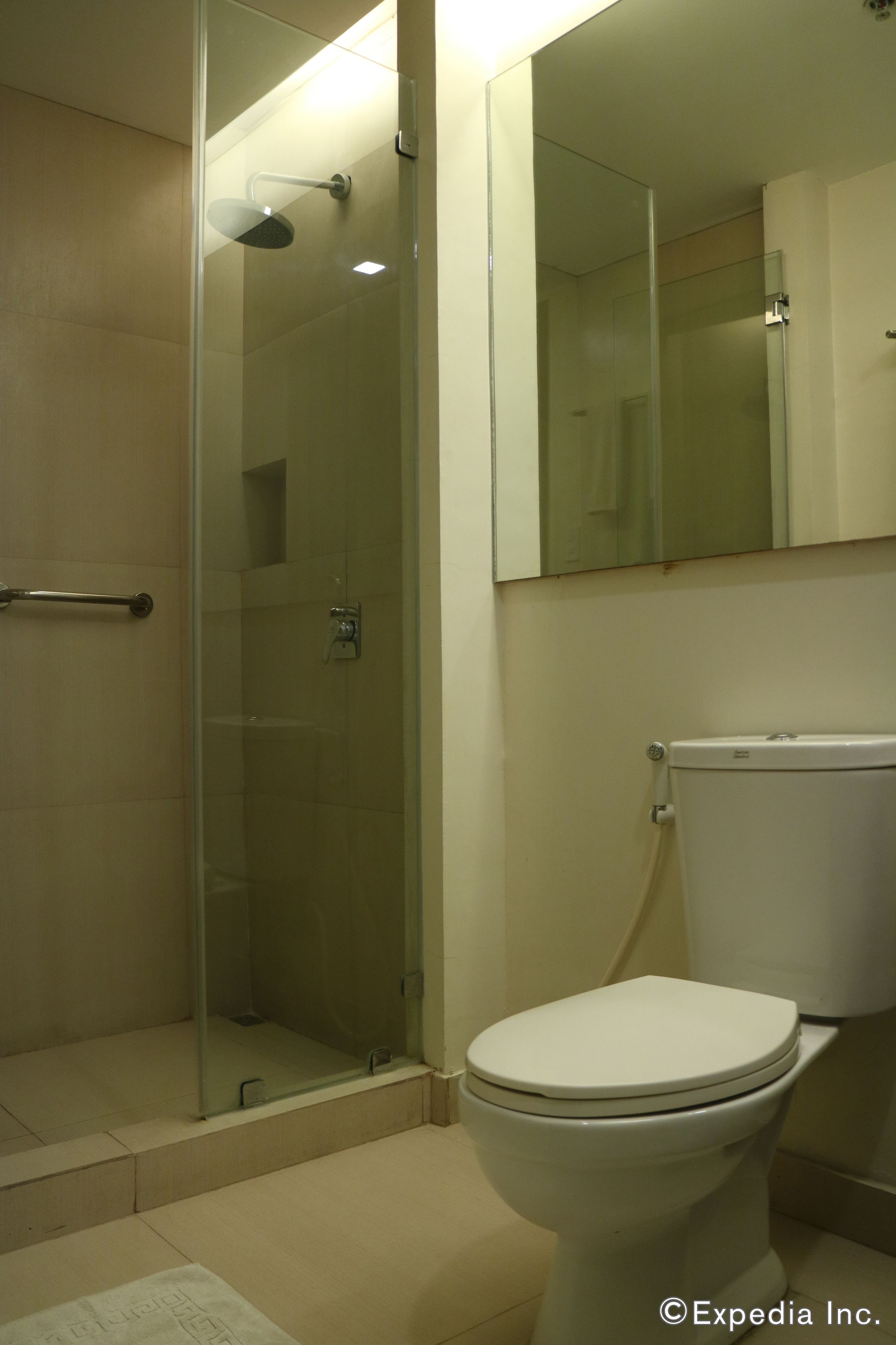 A bathroom with a glass-enclosed shower, a white toilet, and a mirror above the toilet.
