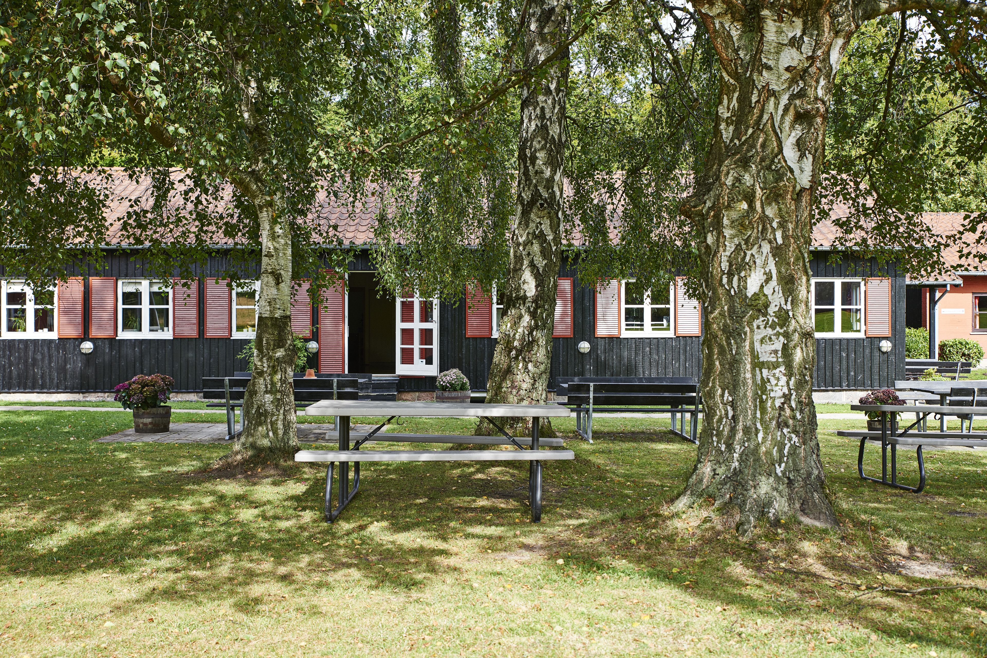A picnic area with benches and picnic tables, surrounded by trees and a building with red shutters in the background.