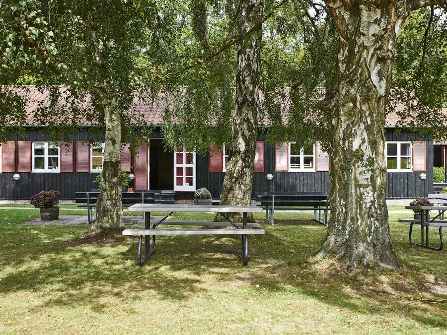 A picnic area with benches and picnic tables, surrounded by trees and a building with red shutters in the background.