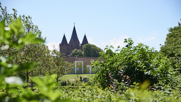View from property - MOVE Eco Health Hotel (Kalundborg)