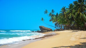 Plage, plongée sous-marine
