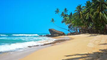 On the beach, scuba diving