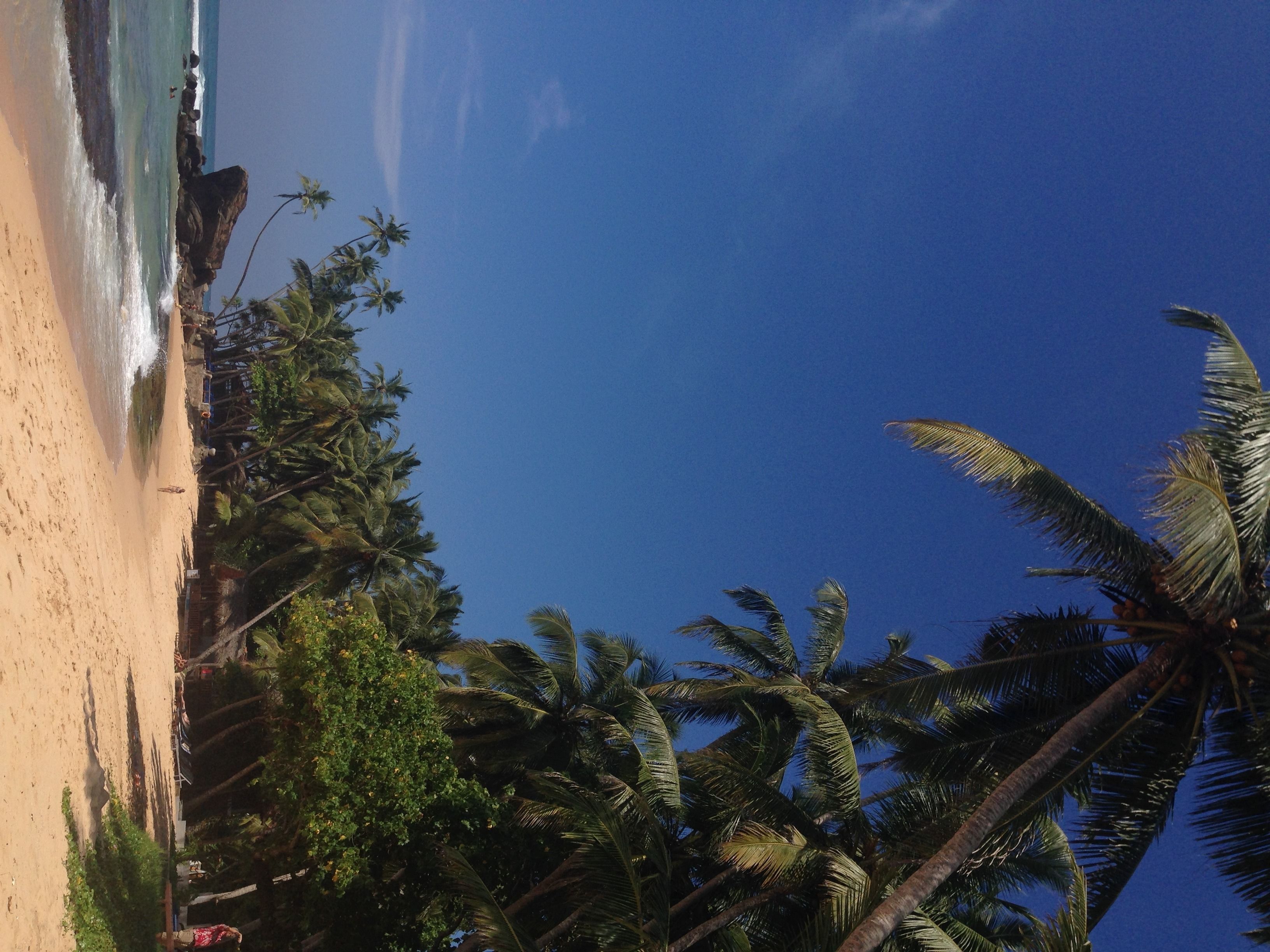 on the beach, scuba diving