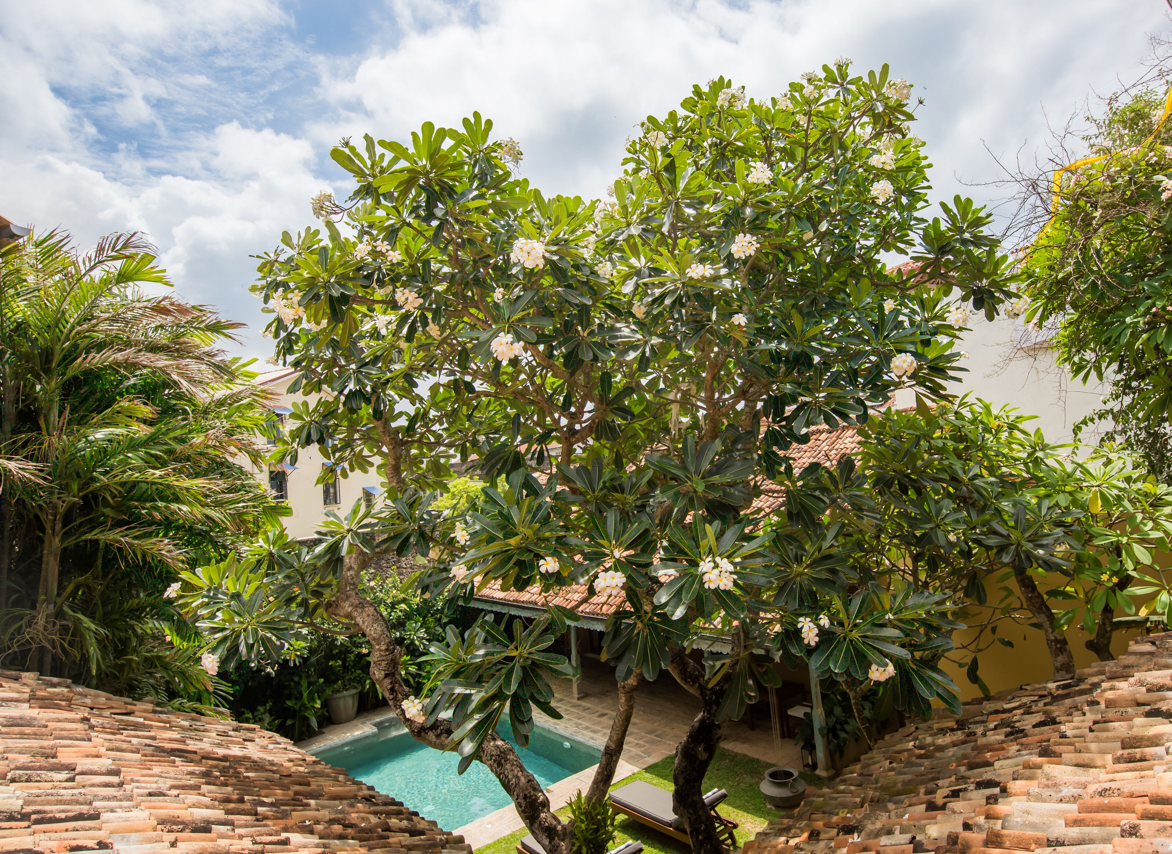 Zona de piscina amb escales que baixen a la piscina, envoltada de vegetació abundant i un edifici amb teulada de rajola.