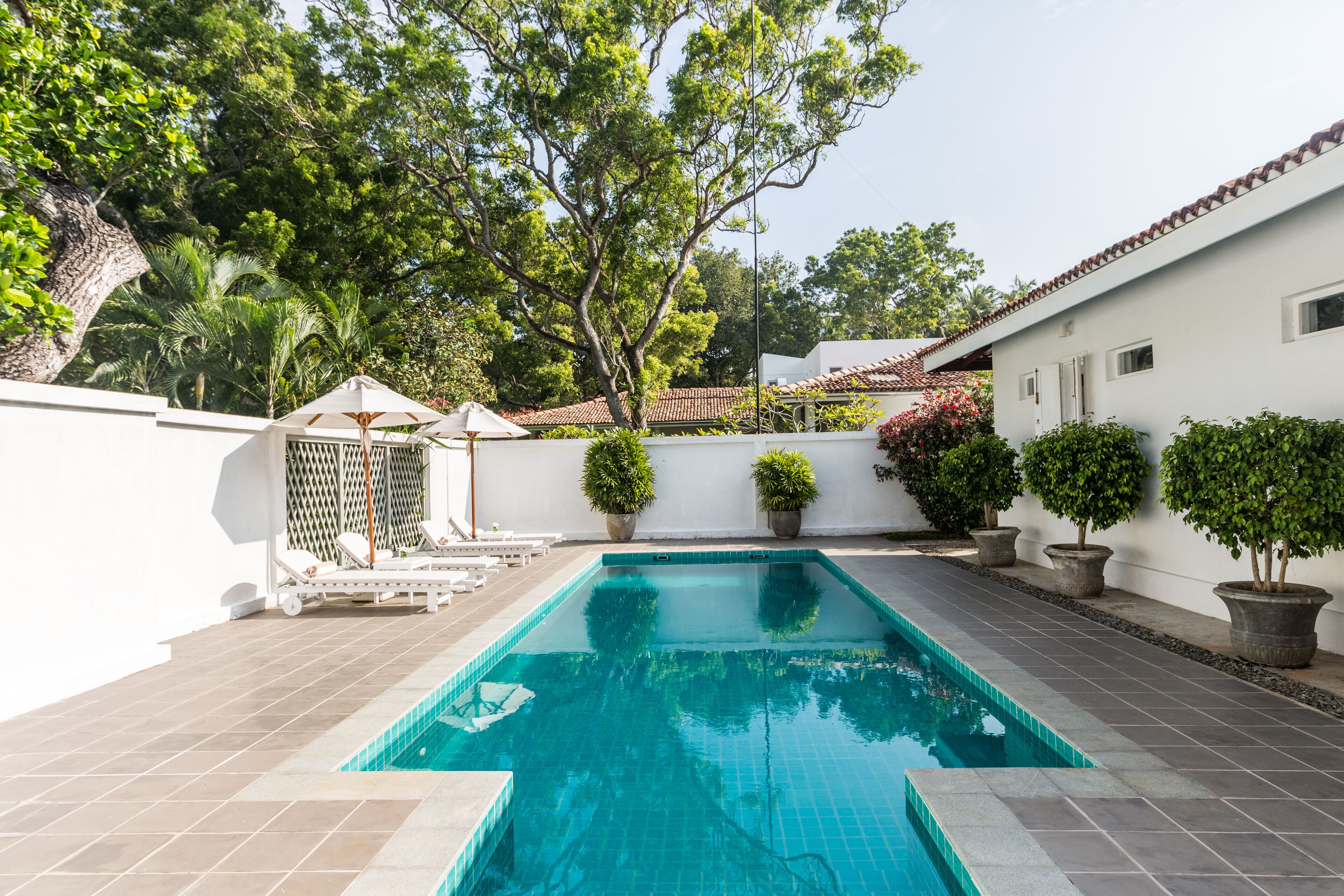 A rectangular swimming pool with tiled edges, surrounded by a white wall and potted plants.