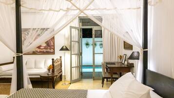 Master Room with Plunge Pool | View from room