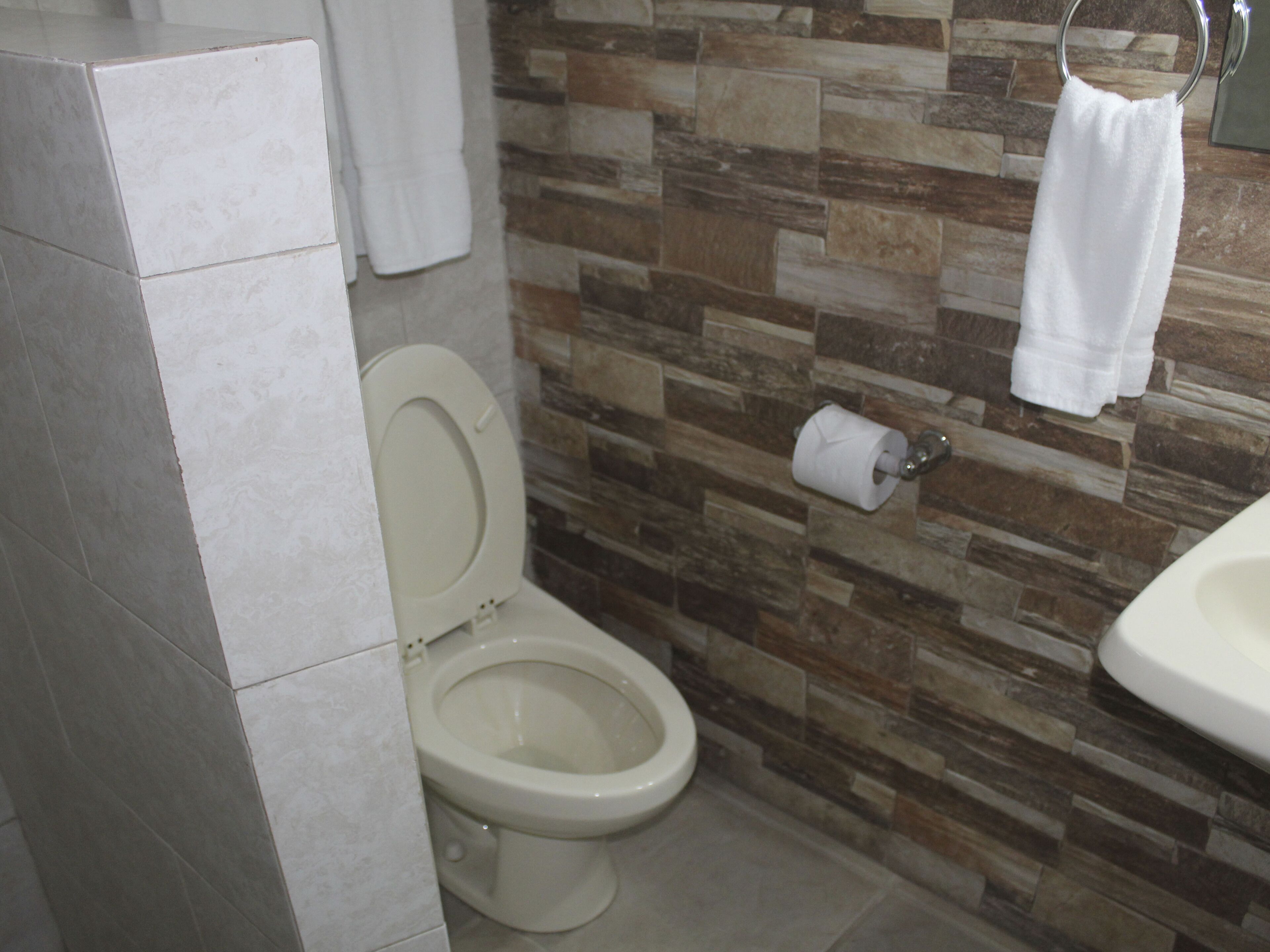 shower, free toiletries, towels, soap