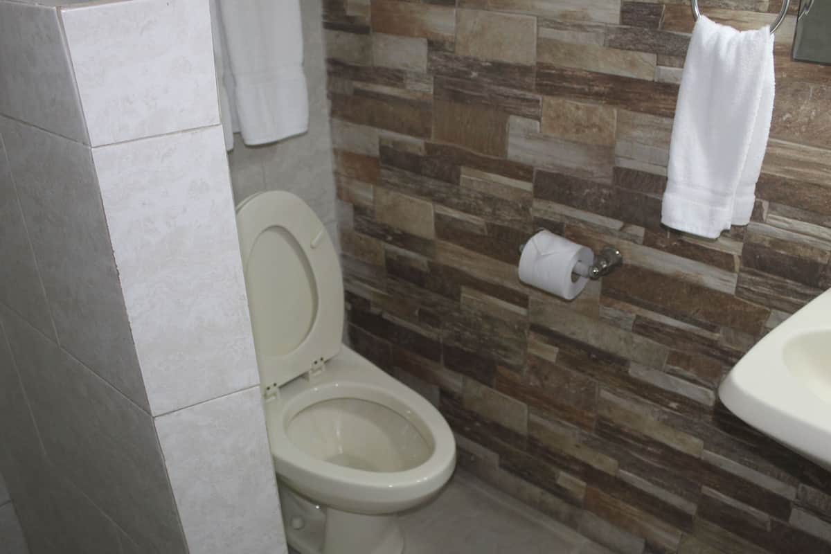 shower, free toiletries, towels, soap