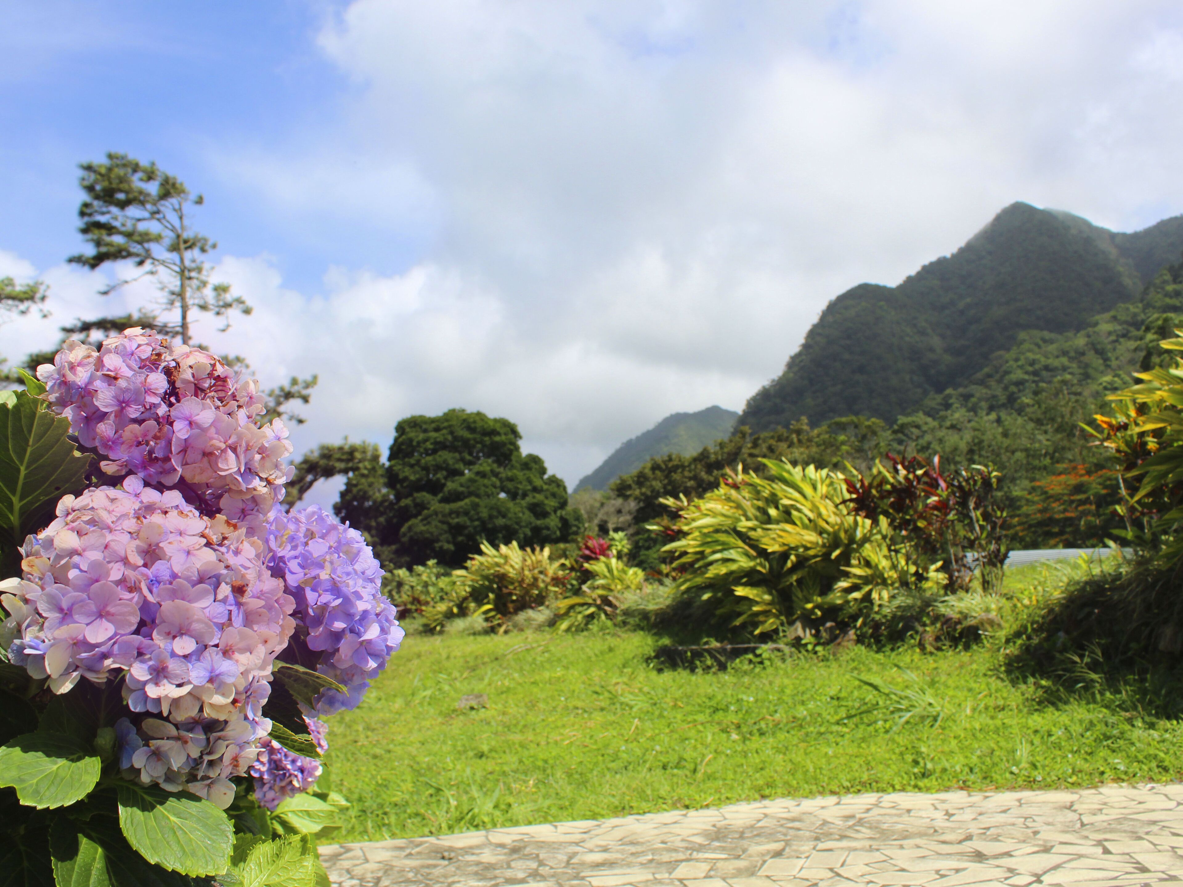 Uitzicht vanuit de kamer