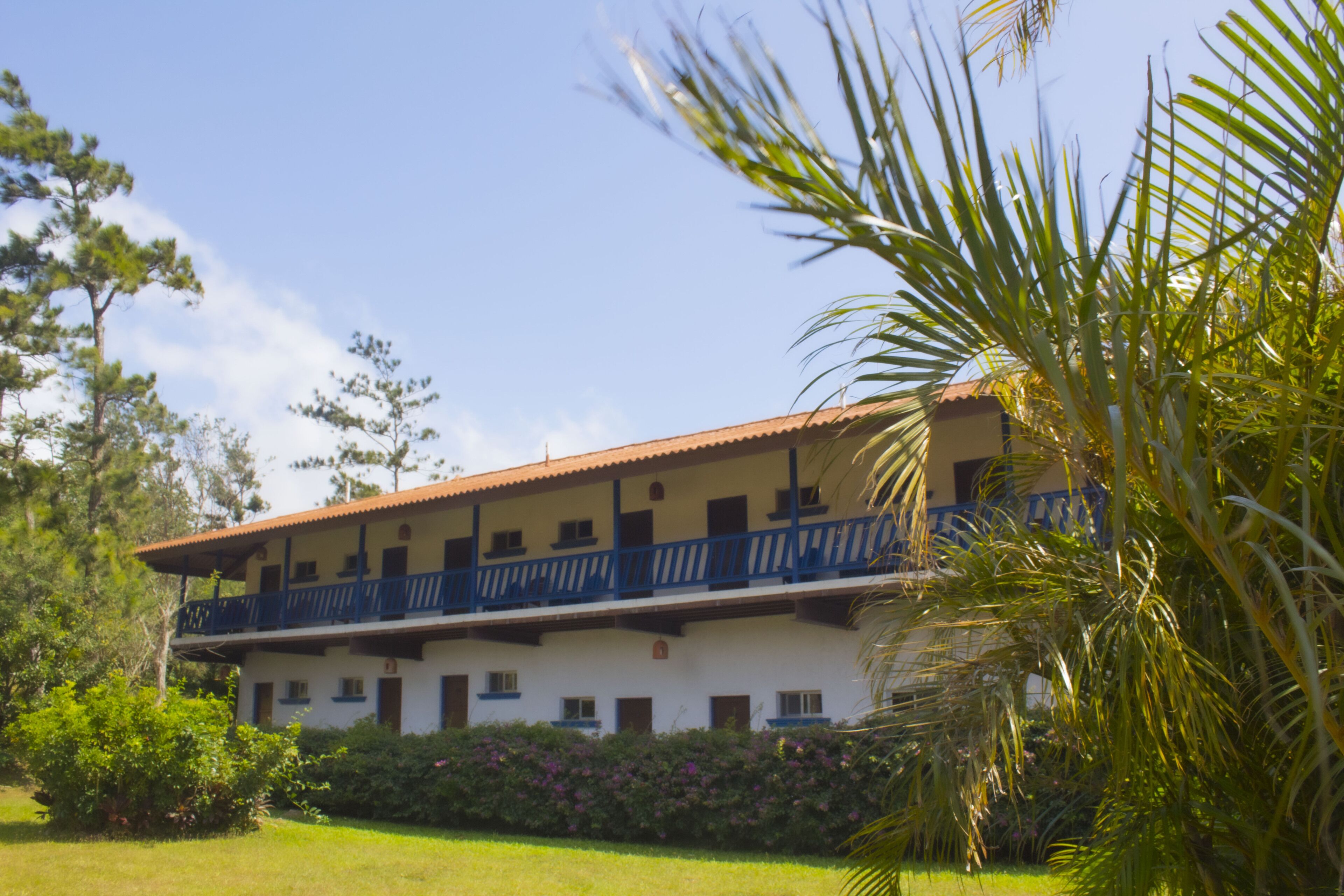 outdoor wedding area
