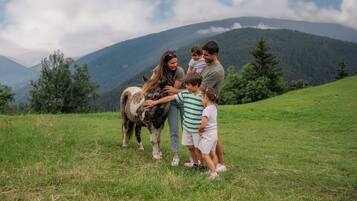 A family interacting with a horse in a grassy field with mountains in the background.