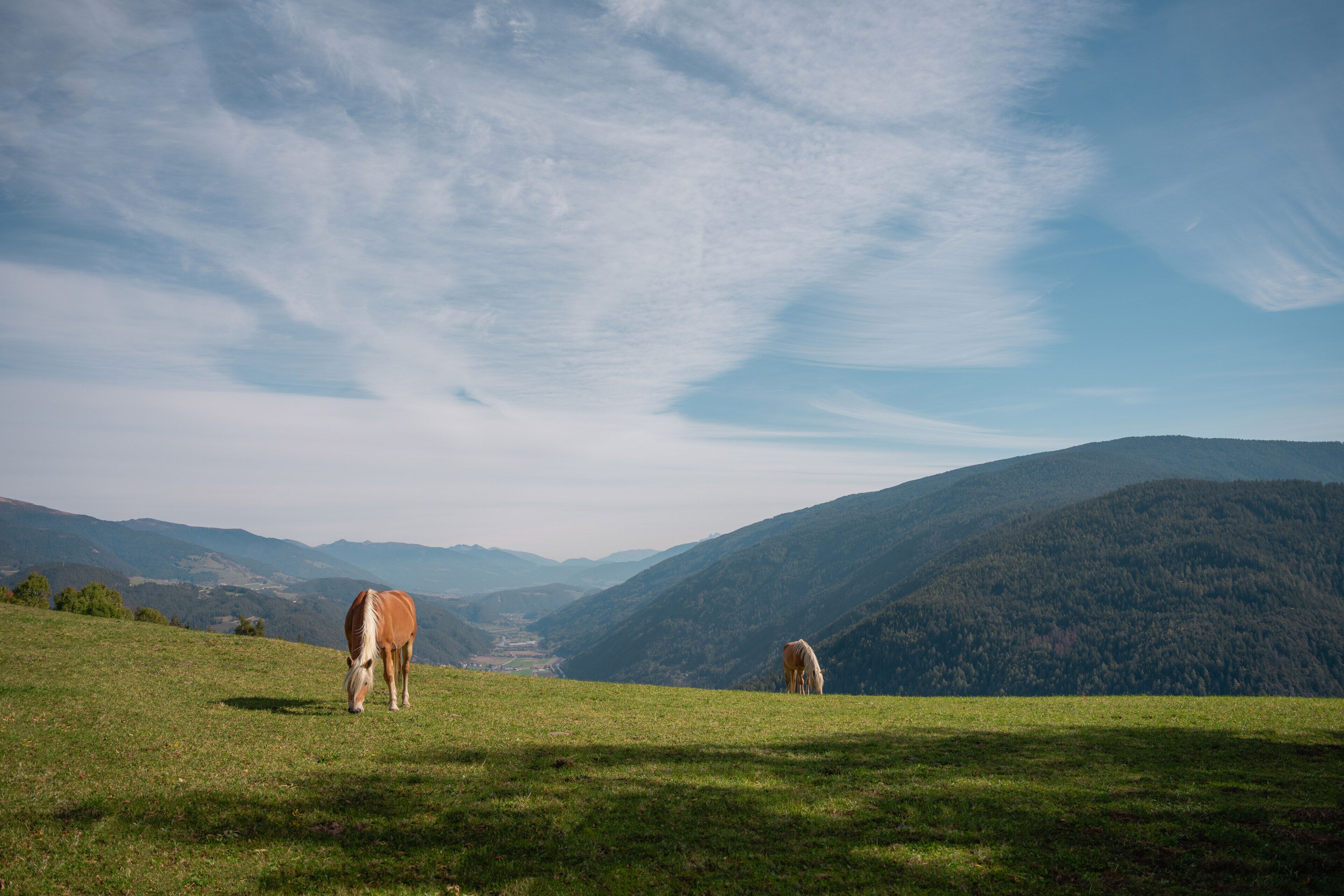 A panoramic view of a mountainous landscape with two horses grazing on a grassy field.