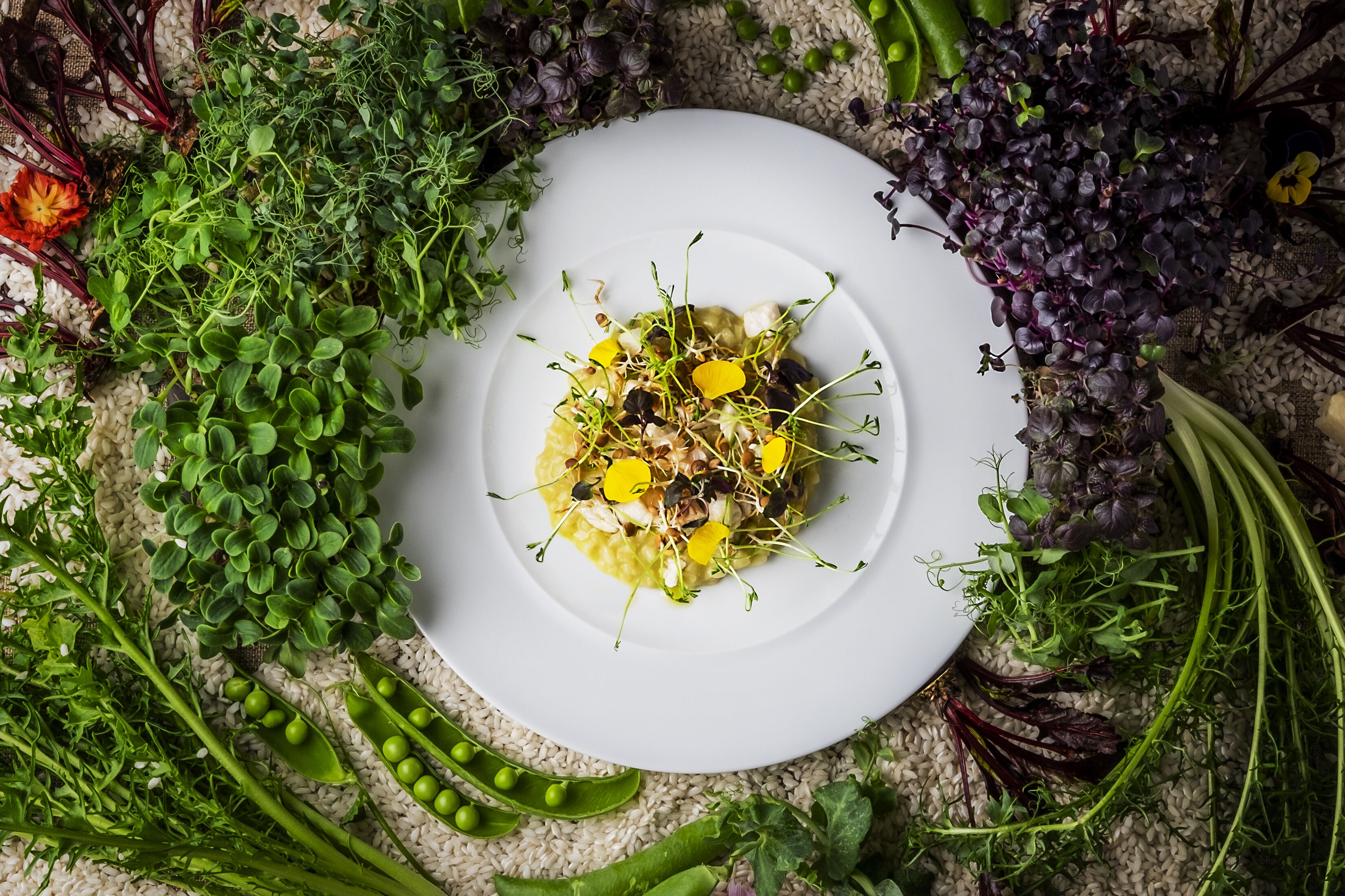 A white plate with a green pea salad and various greens.