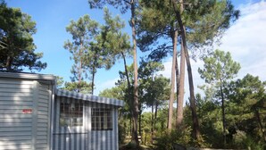 A small, single-story mobile home with a striped awning, surrounded by tall pine trees and a wooden fence. - Boost Locamobil 17 Bonne Anse Plage (Les Mathes)