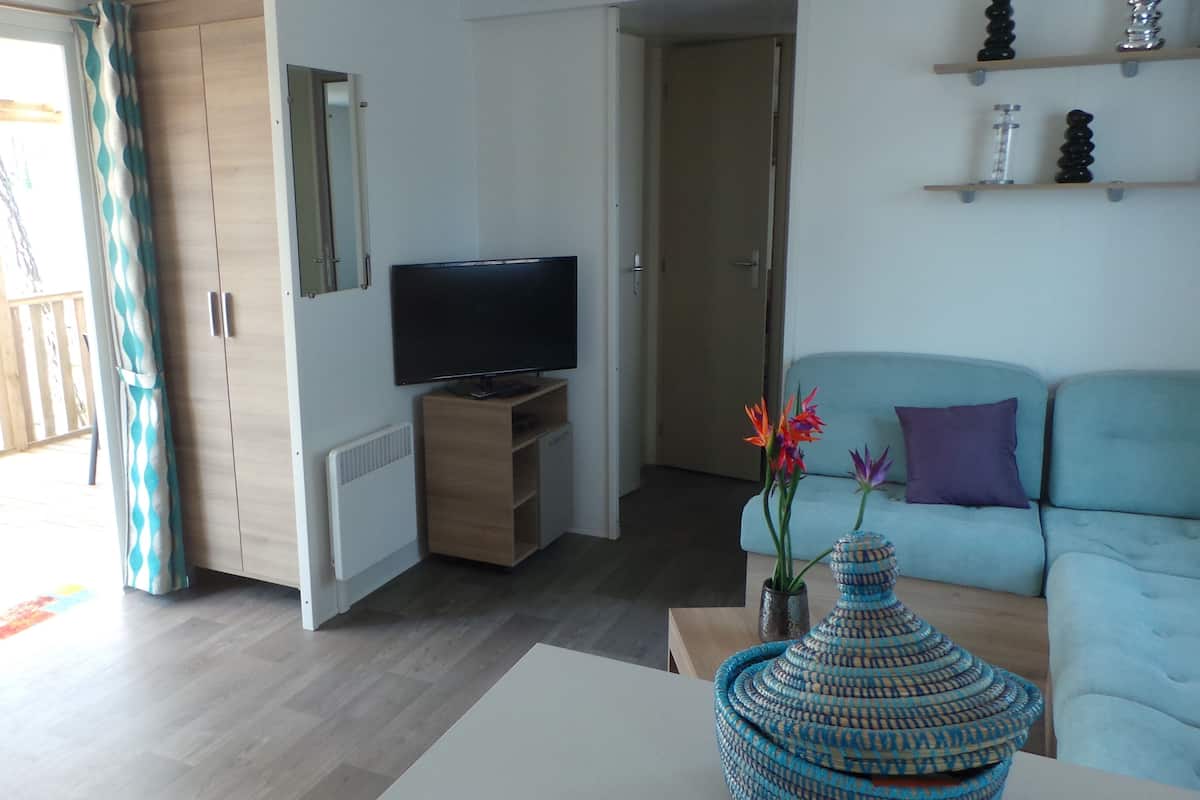 Un salon comprenant un téléviseur, un canapé, une table basse et un vase décoratif.