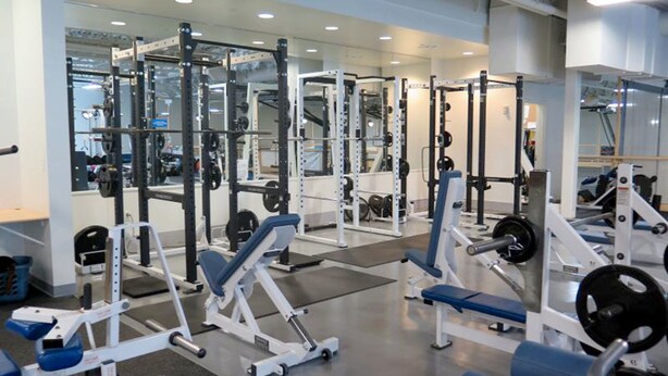 A gym with various weightlifting equipment, including benches and squat racks. - 16 Bay View (Camden)