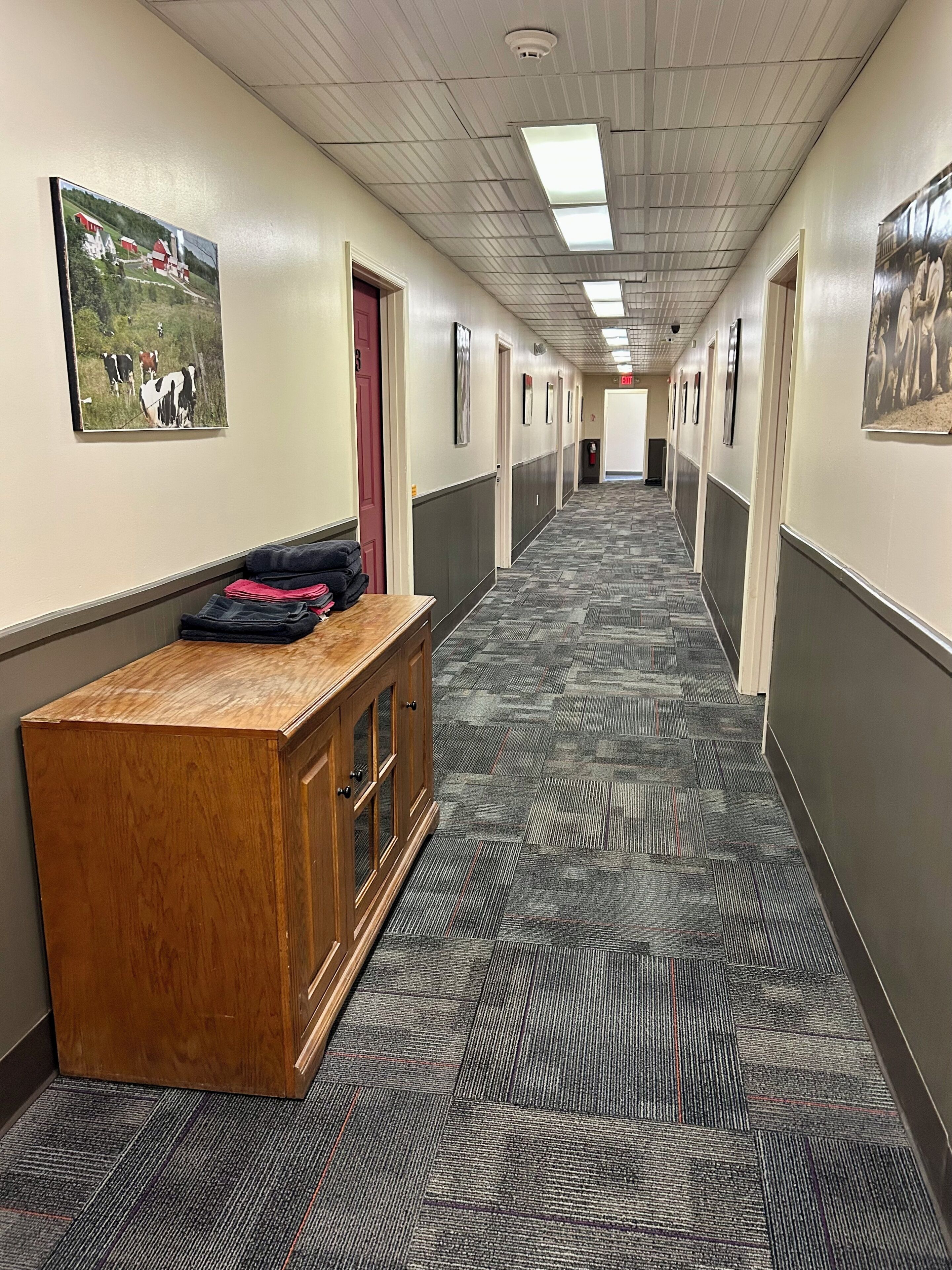 A hallway with a patterned carpet, wooden bench, framed pictures on the walls, and doors leading to rooms.