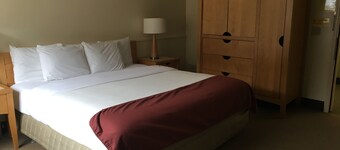 The Montrose Hotel