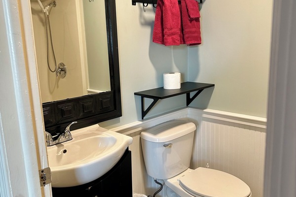 Combined shower/tub, free toiletries, hair dryer, towels