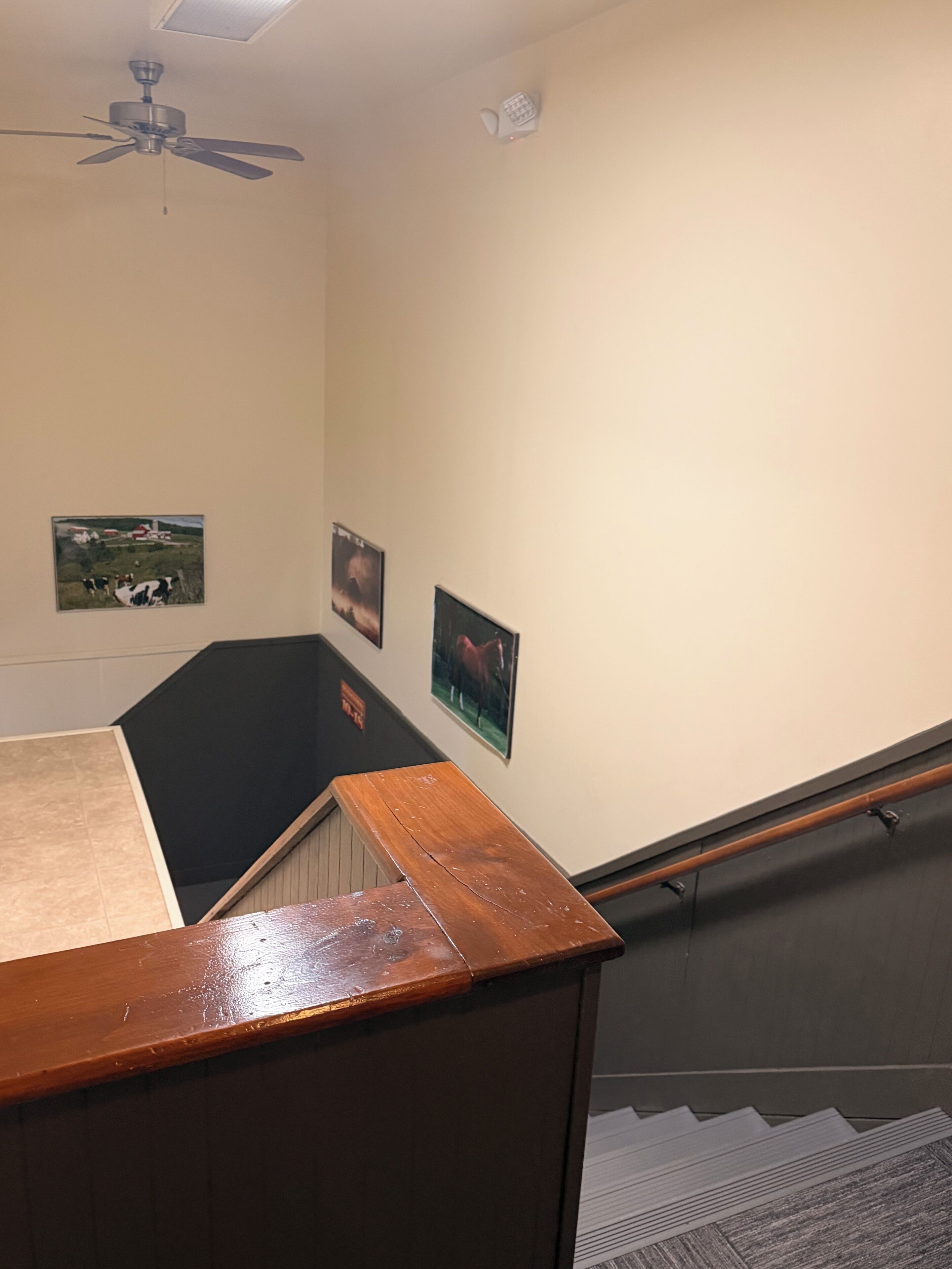 A staircase with a wooden handrail, a ceiling fan, and framed pictures on the wall.