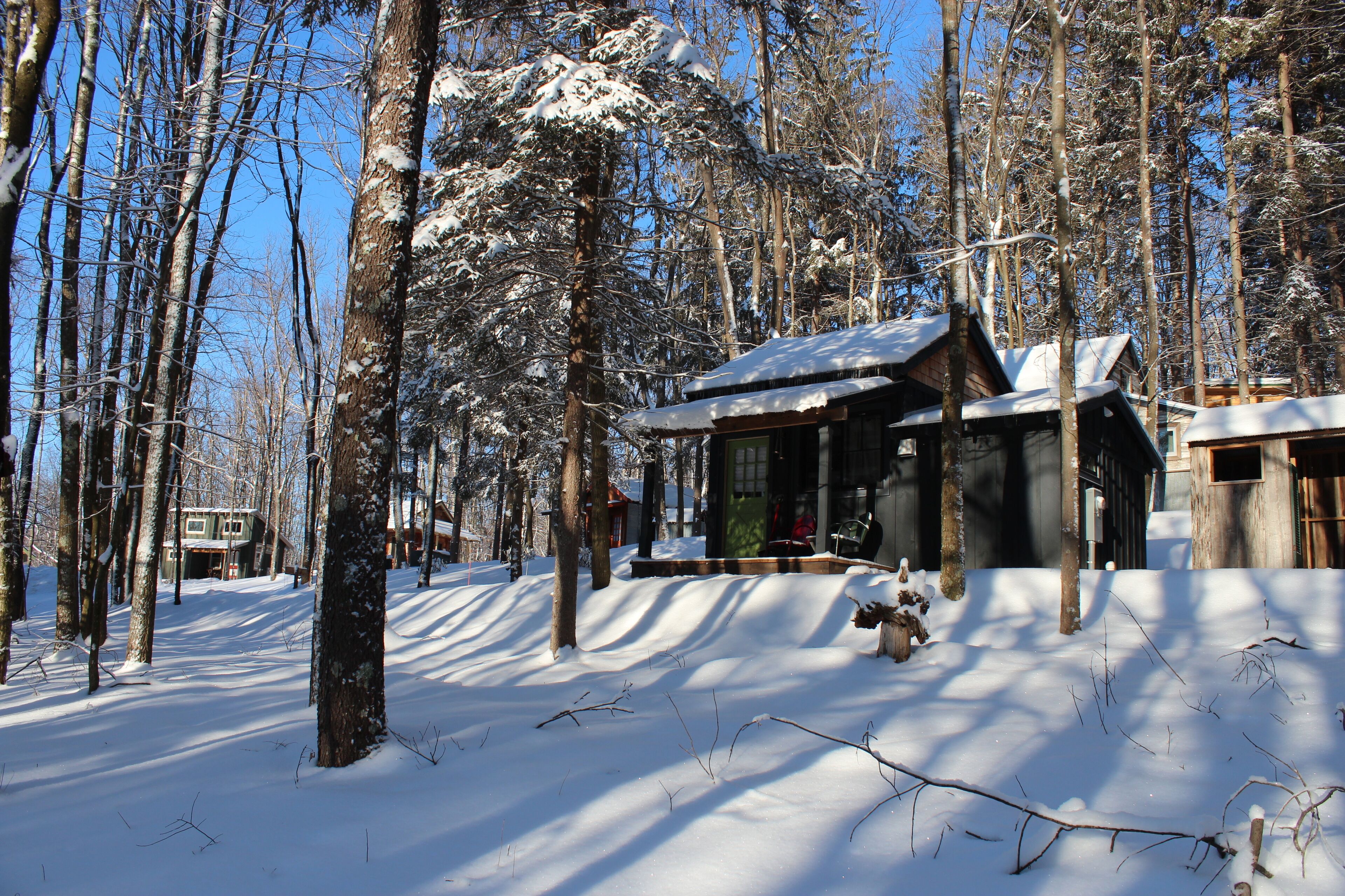 Une cabane au cœur d’une forêt enneigée, sous un ciel dégagé.