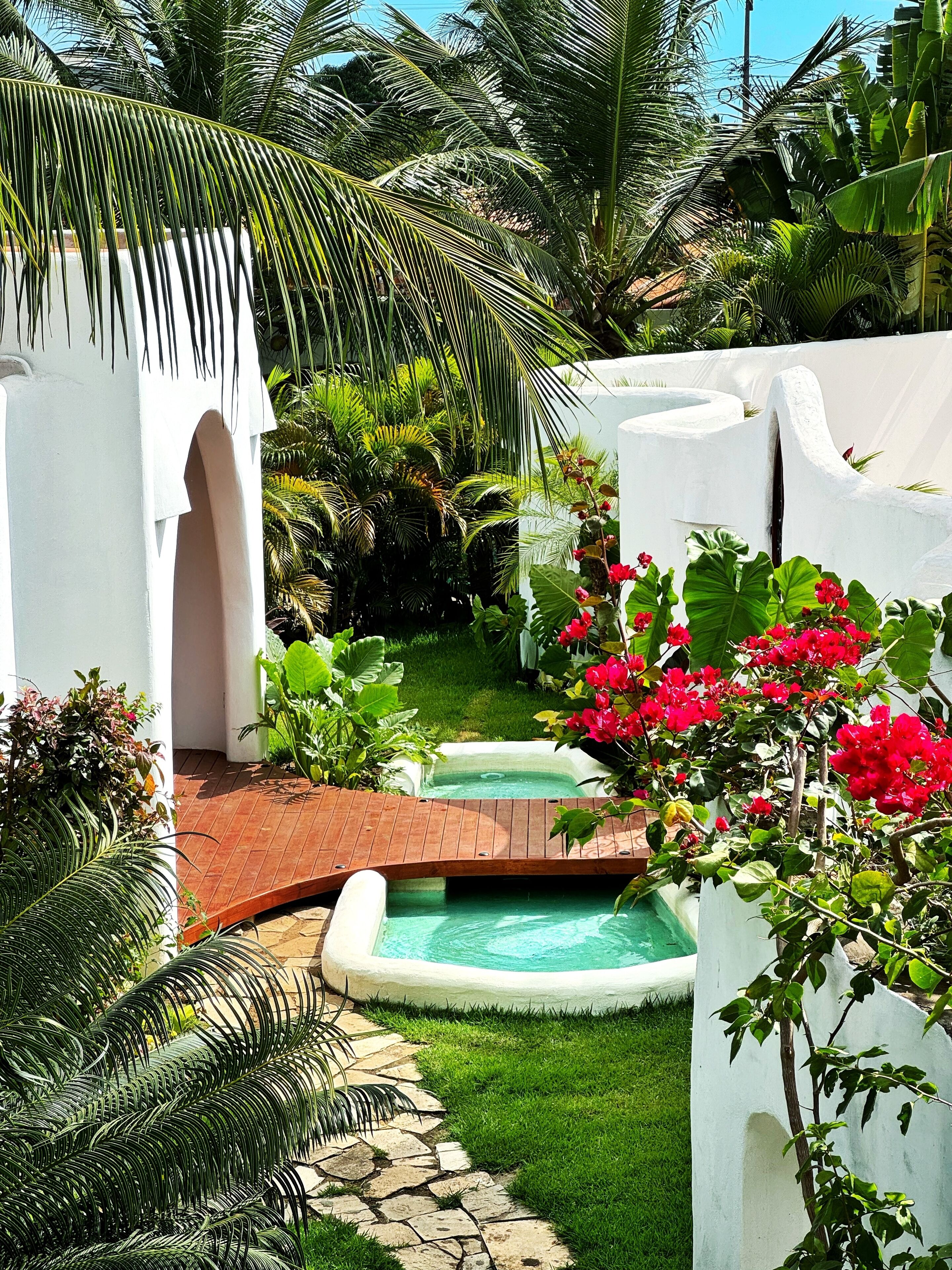 A garden with a hot tub, palm trees, and a white wall.