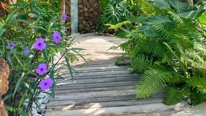 A wooden pathway leading through a lush garden with tropical plants and a stone wall. - Pousada Ilha do Vento (São Miguel do Gostoso)