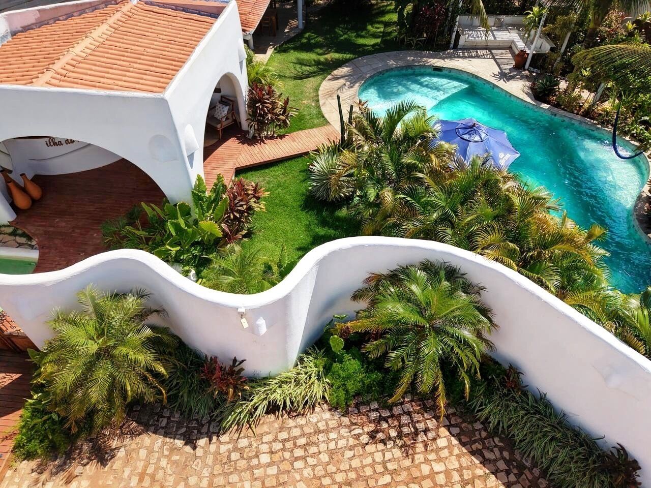Una piscina rodeada de exuberante vegetación y un muro blanco curvo.