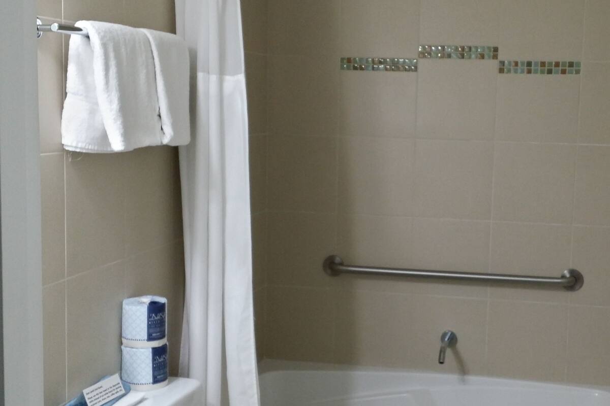 free toiletries, hair dryer, towels