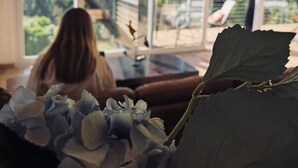 Ein Zimmer mit großem Fenster, Holzboden und einer Zimmerpflanze.