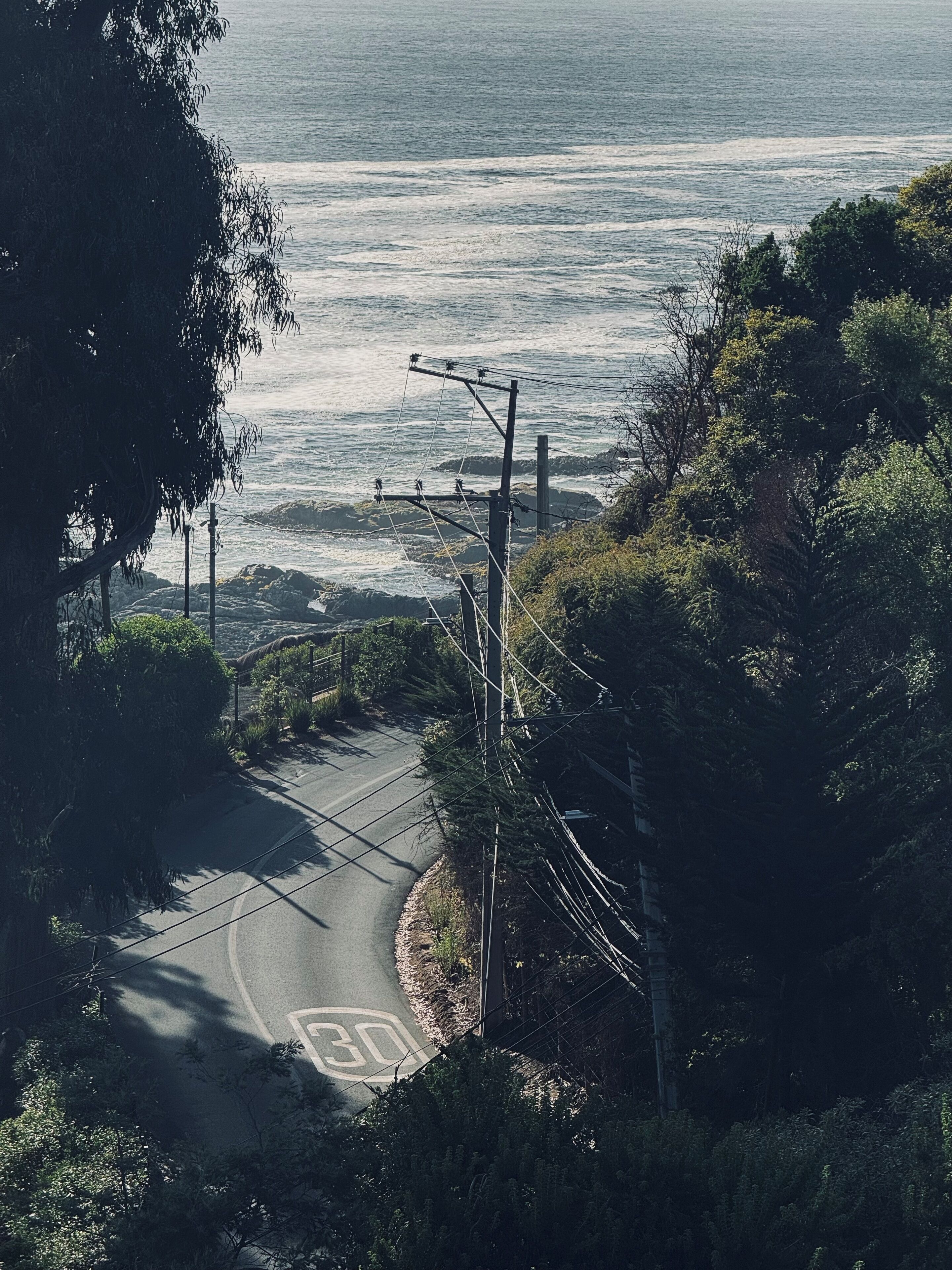 A coastal road with a speed limit sign of 30 km/h, surrounded by dense greenery and overlooking the sea.