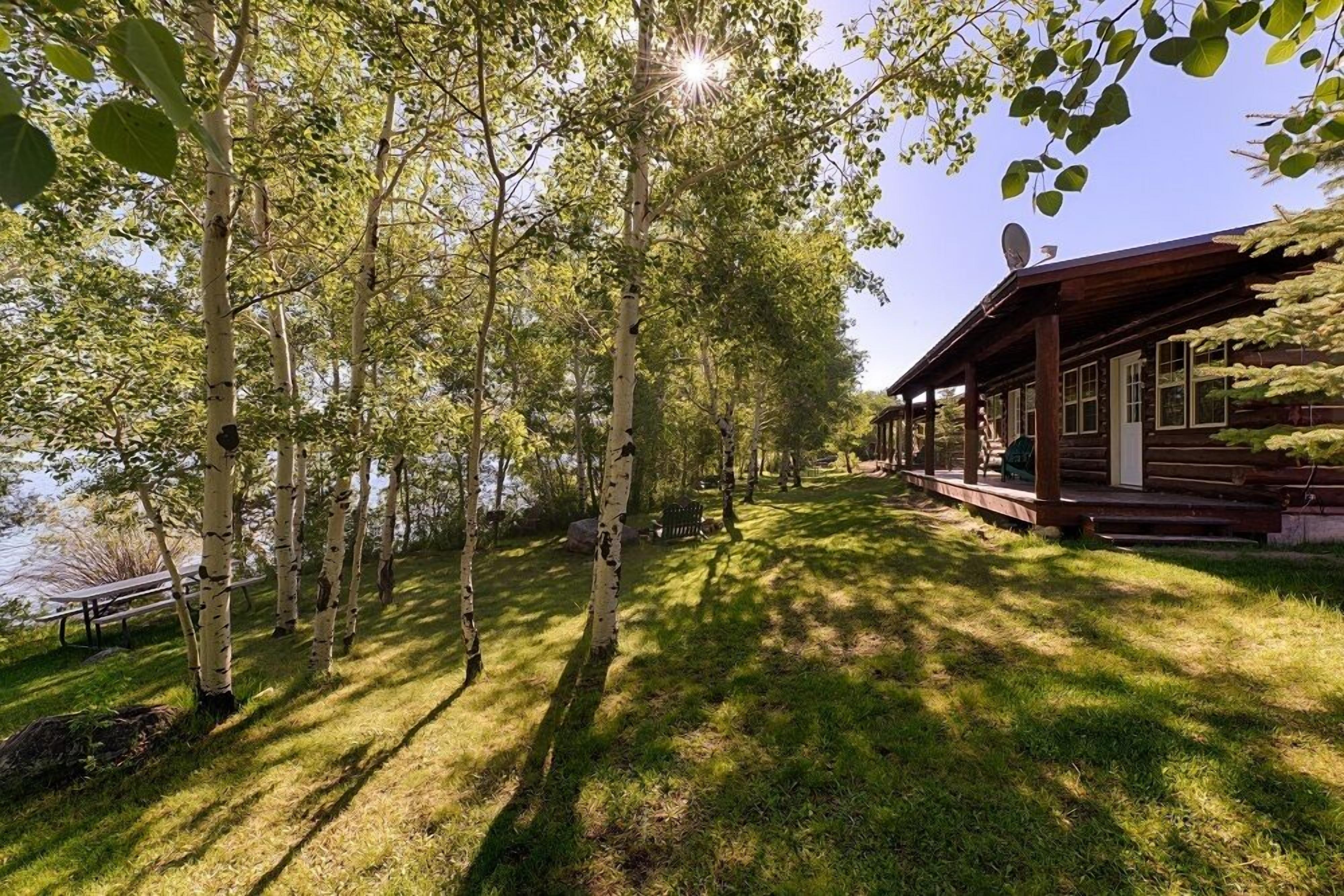 standard cabin, 2 queen beds | view from room