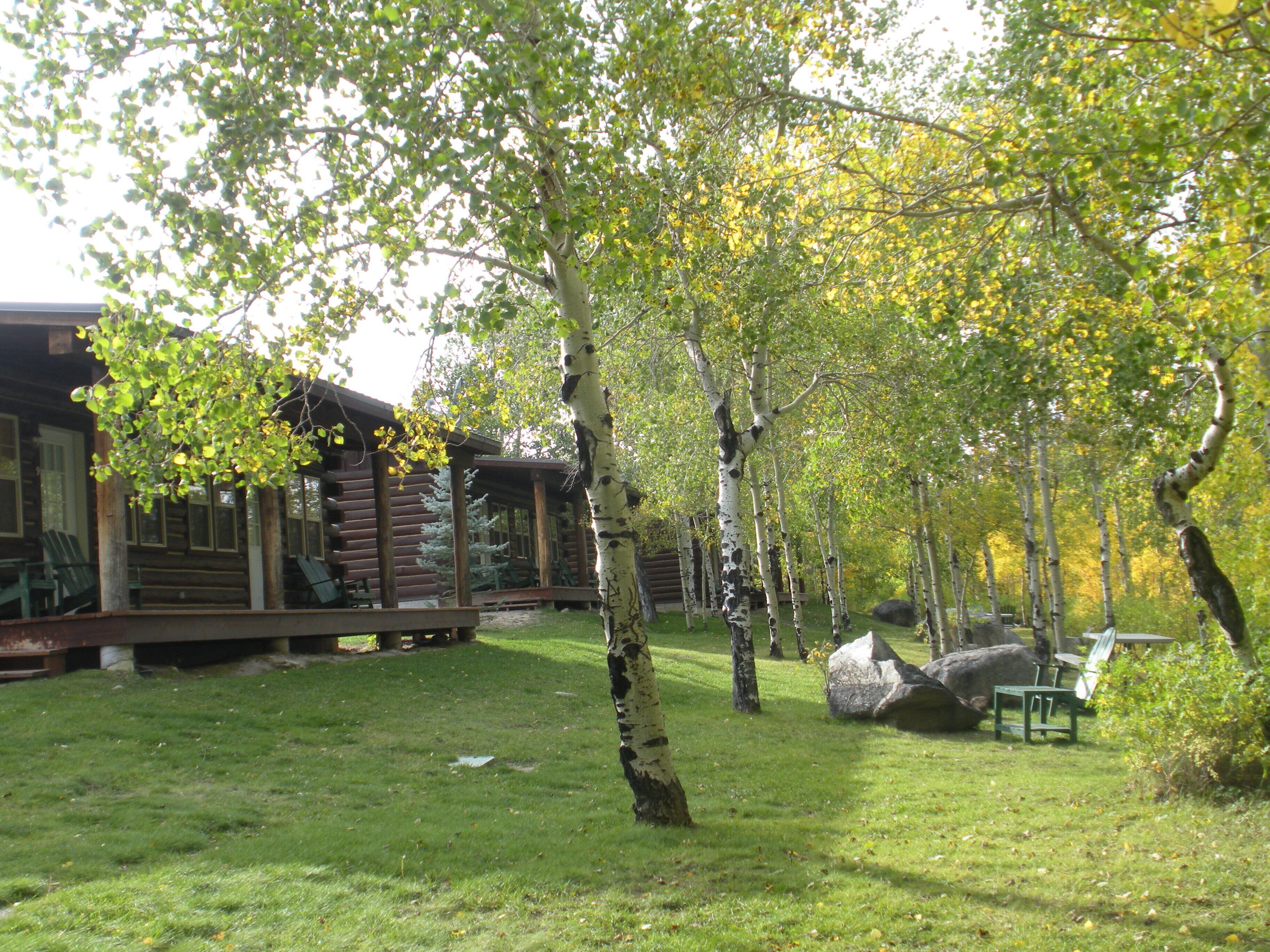 cabin, 1 bedroom, lake view | view from room