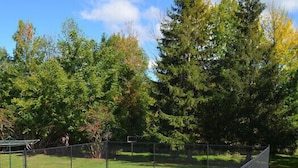 A rectangular swimming pool with a chain-link fence surrounding it, set in a grassy area with trees in the background.