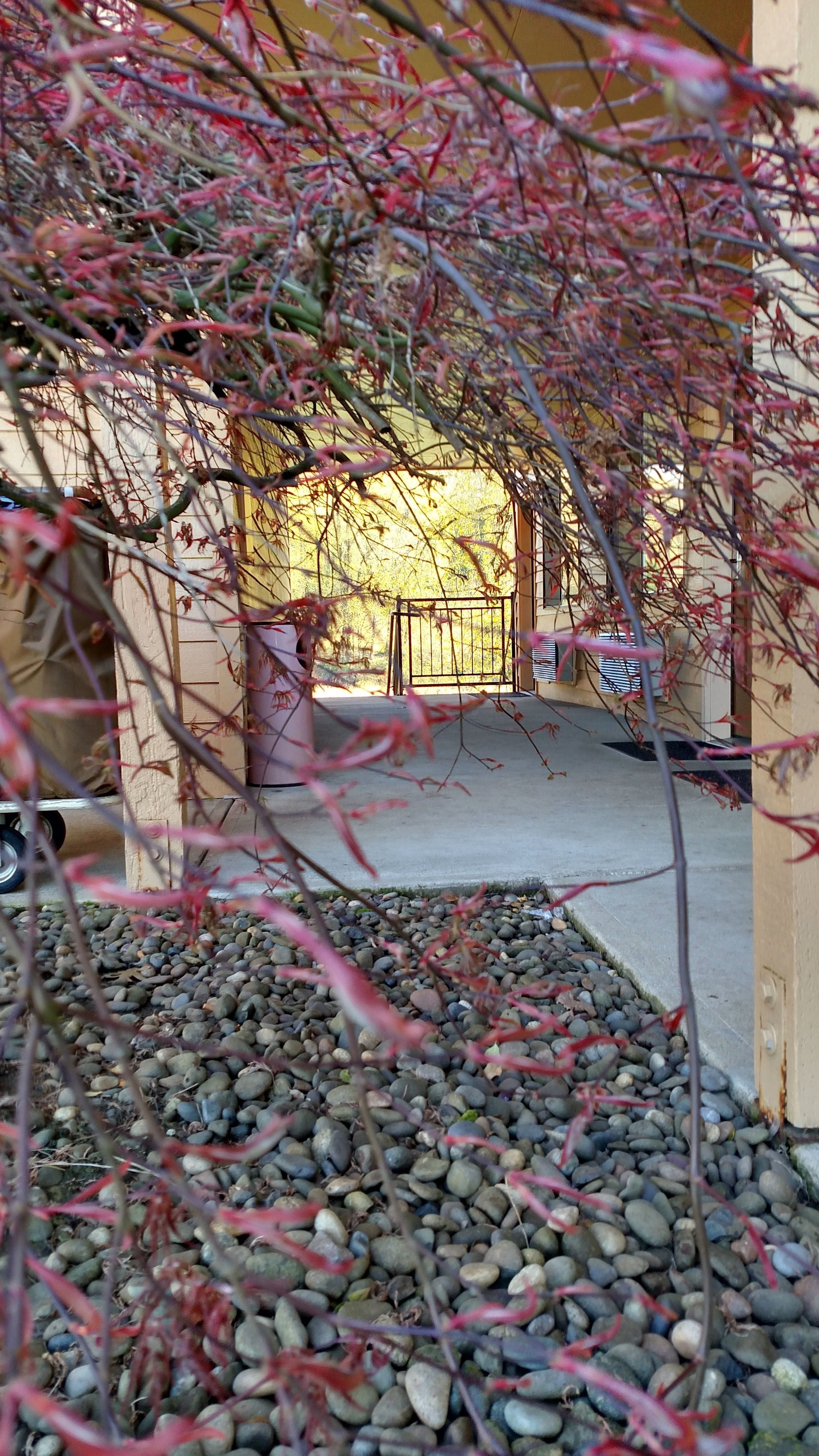 A pathway leading to a gated entrance, surrounded by a gravel area and a building with a yellow wall.