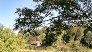 Ein Teich mit einem Schild, das 'LAGUER NO SWIMMING' aufweist, umgeben von üppiger Vegetation und einem Haus im Hintergrund.