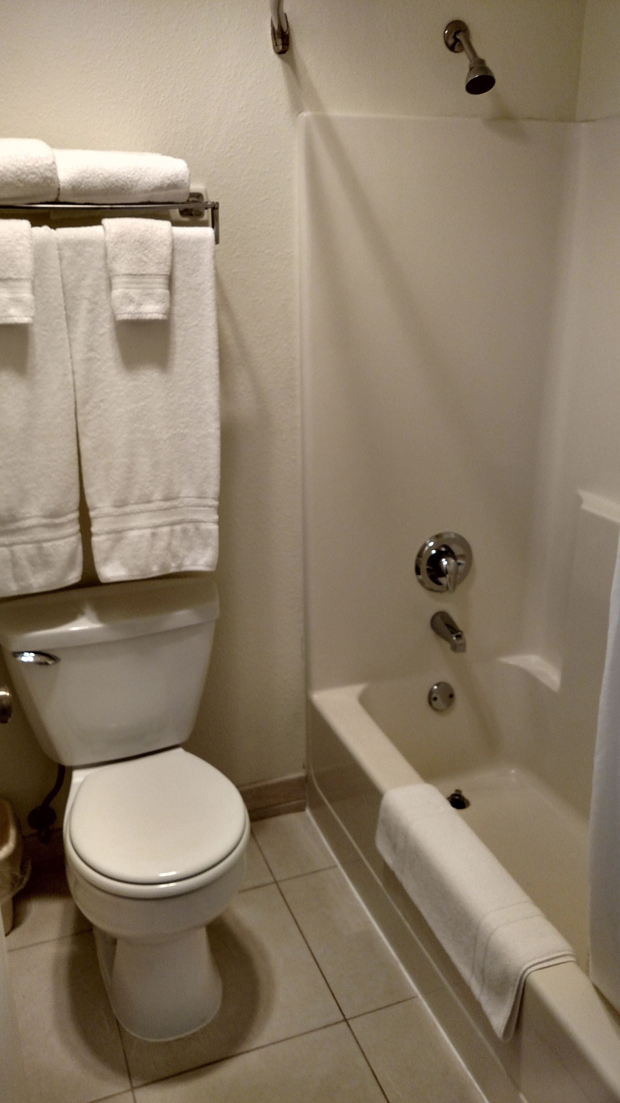 A bathroom with a toilet, a bathtub, and a shower.