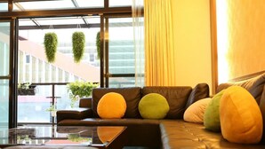 A modern living room with a leather sofa, a glass coffee table, and hanging plants.