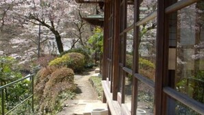 Un edificio japonés tradicional con fachada de madera y amplios ventanales. Un sendero de piedra conduce a la entrada, rodeado de cerezos.